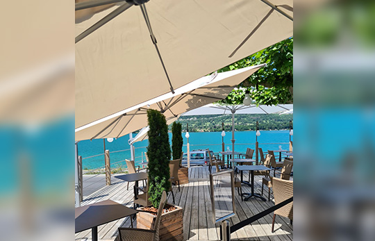 Parasol